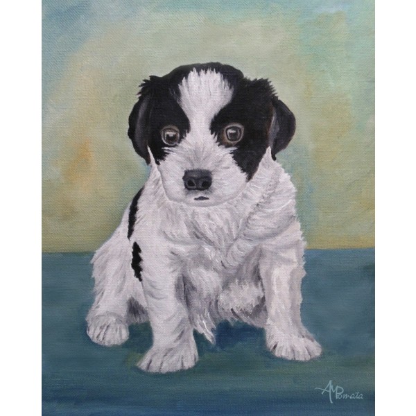 Bordercollie-pentu MultiColor 70x100 cm