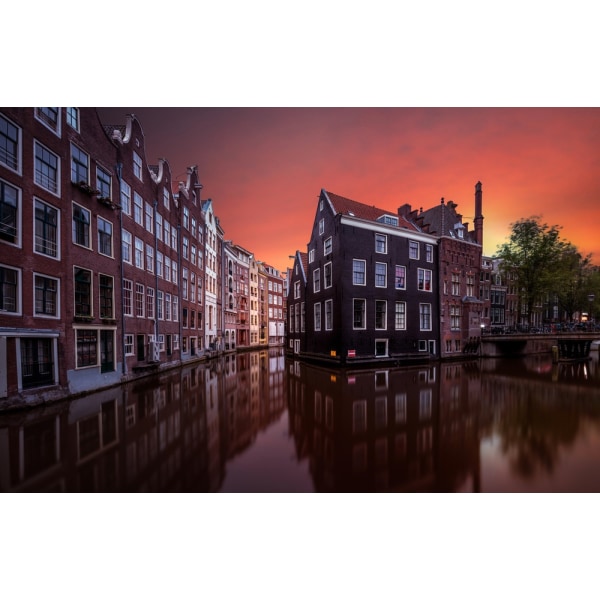 Amsterdam Dawn MultiColor 50x70 cm