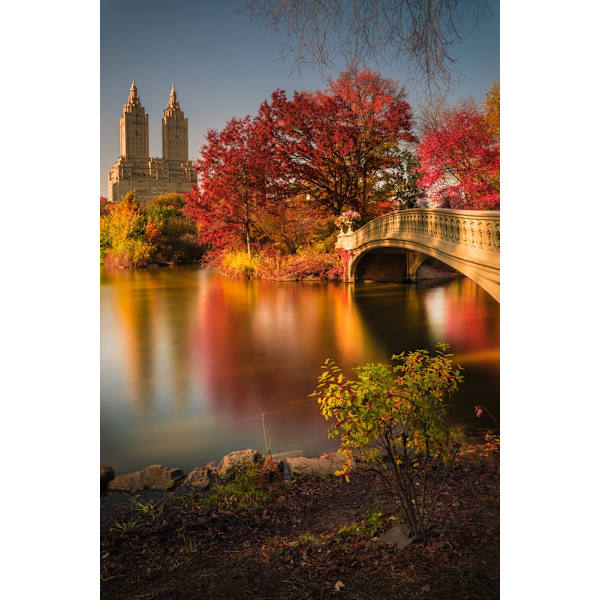 Fall In Central Park MultiColor 30x40 cm
