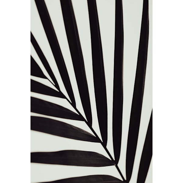 Graphic Palm Leaf_1 MultiColor 70x100 cm