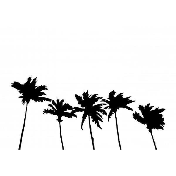 Palms White MultiColor 70x100 cm