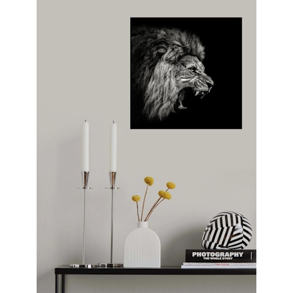 Roaring Lion 2 MultiColor 70x100 cm