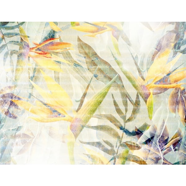 Ombre056jungle MultiColor 50x70 cm