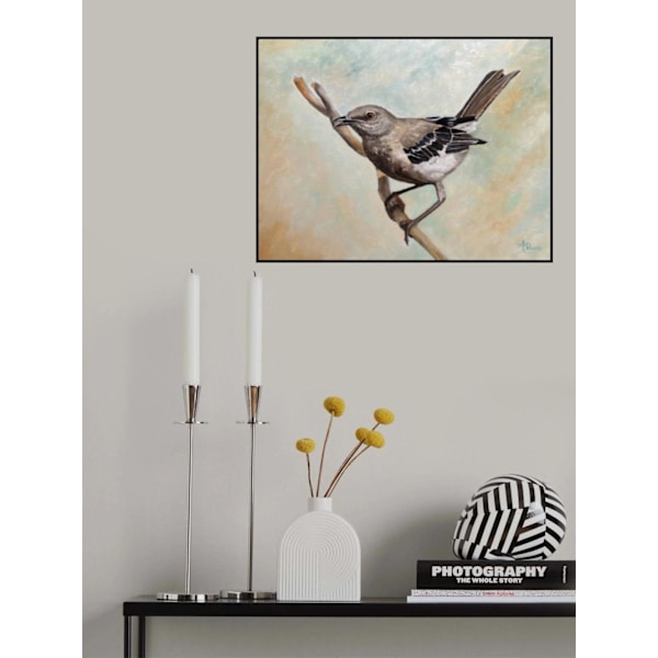 Sharp Eyed Mockingbird MultiColor 21x30 cm