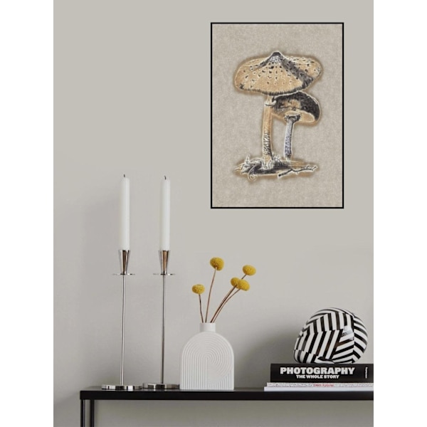 Hand Drawn Parasol Mushroom Brown MultiColor 21x30 cm
