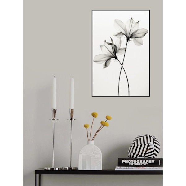 Transparent Botanic No 6 MultiColor 70x100 cm