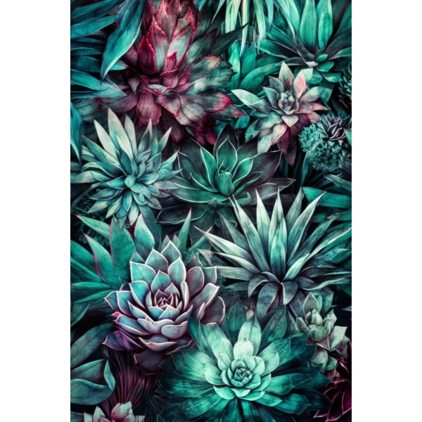 Succulents And Cactus 4 MultiColor 50x70 cm