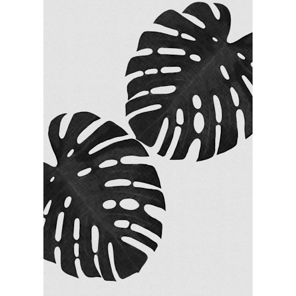 Monstera Leaf Black Aamp White Ii MultiColor 21x30 cm