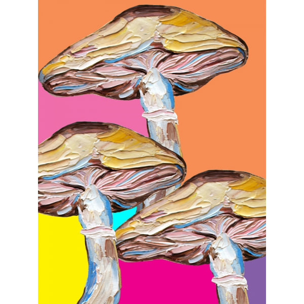 Psychedelic Mushrooms MultiColor 50x70 cm