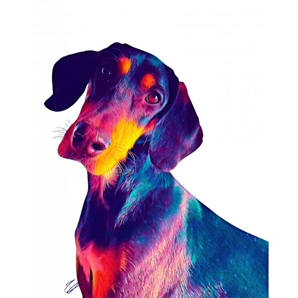 Finn Dog MultiColor 21x30 cm