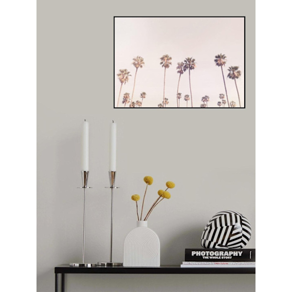 Sunny Cali Palm Trees MultiColor 50x70 cm