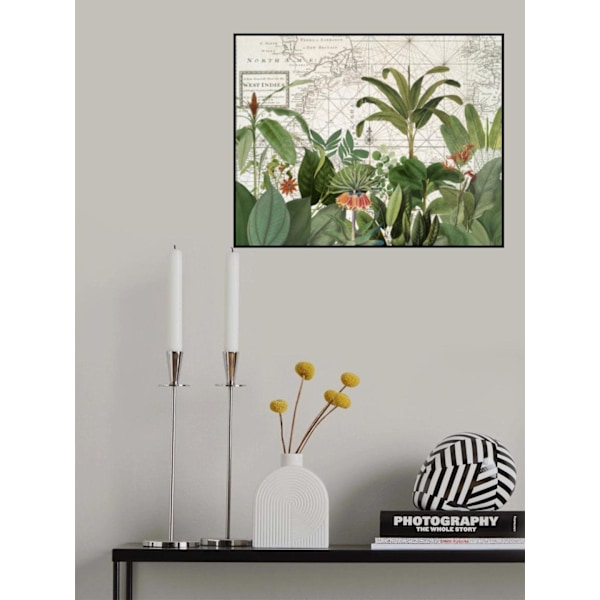 Exotic Wildlife 005 MultiColor 70x100 cm