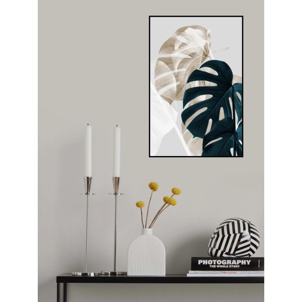 Monstera Creative 05 MultiColor 70x100 cm