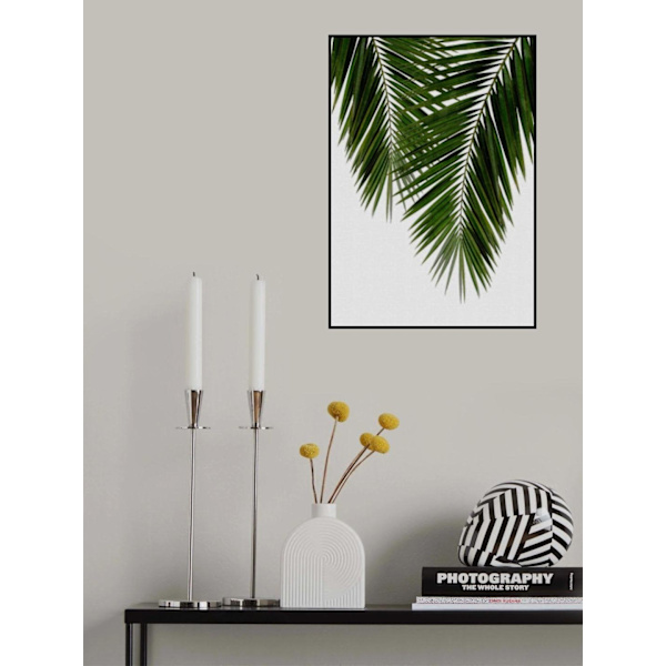 Palm Leaf Ii MultiColor 21x30 cm
