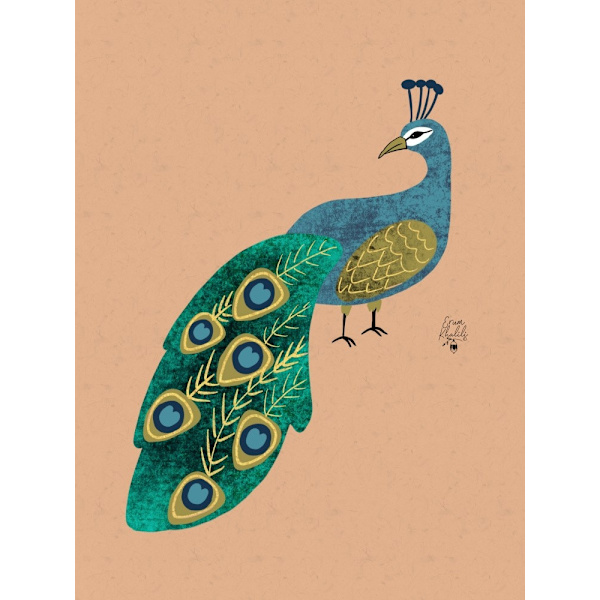 Peacock Erum Khalili.png MultiColor 21x30 cm