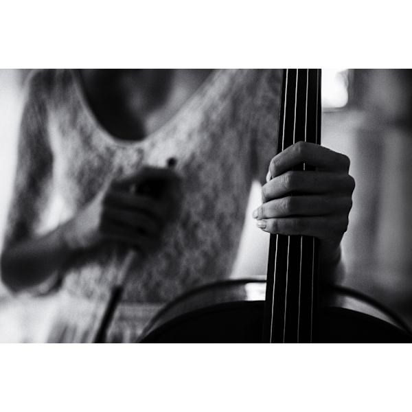 Break For The Cello MultiColor 21x30 cm