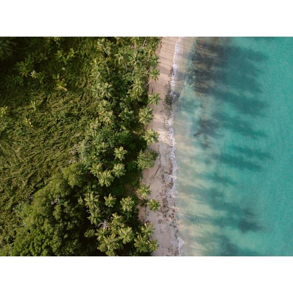 Green Beach From Above 2 MultiColor 21x30 cm