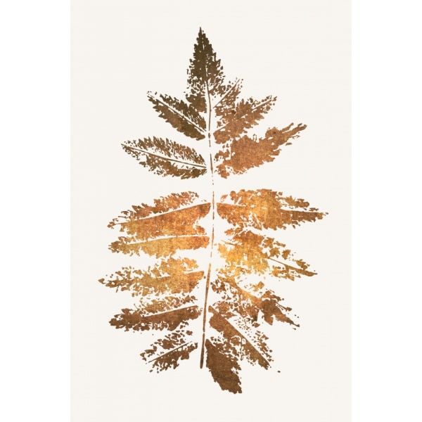 Oak Leaf Print (Gold) MultiColor 70x100 cm