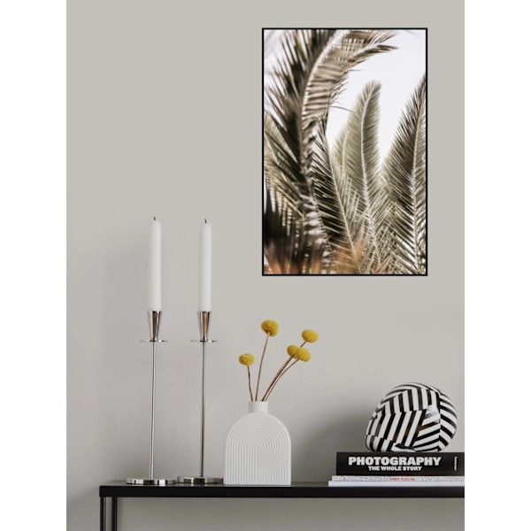 Palm Love MultiColor 50x70 cm