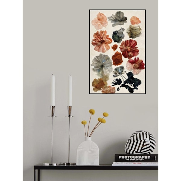 Dry Flower Collection MultiColor 21x30 cm