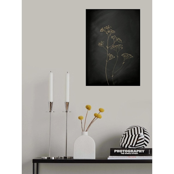 Black Gold Botanical No 1 MultiColor 21x30 cm