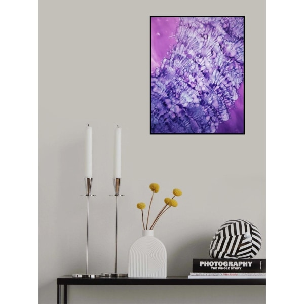 She Sells Sea Shells MultiColor 30x40 cm