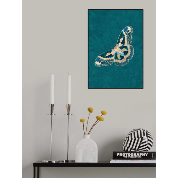 Turkoosi Gold Moth Butterfly MultiColor 50x70 cm