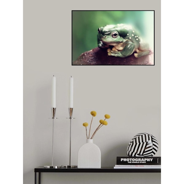 Froggy MultiColor 70x100 cm