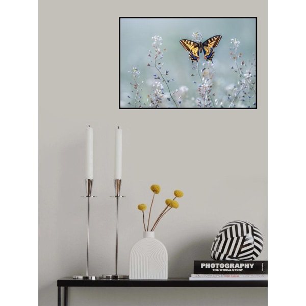 Swallowtail Beauty MultiColor 70x100 cm