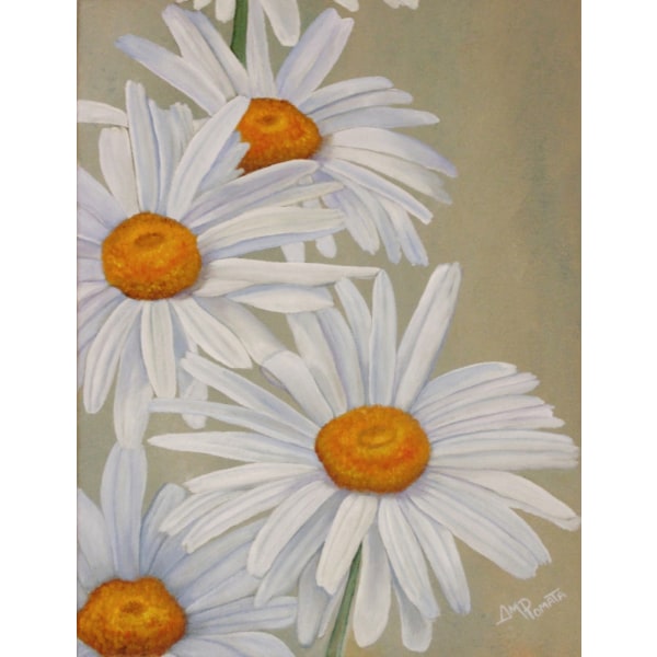 White Daisies MultiColor 30x40 cm