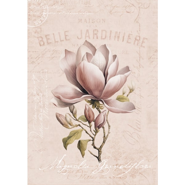 Magnolia Blush No1 MultiColor 50x70 cm