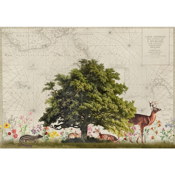 Nordic Woods No2 MultiColor 70x100 cm