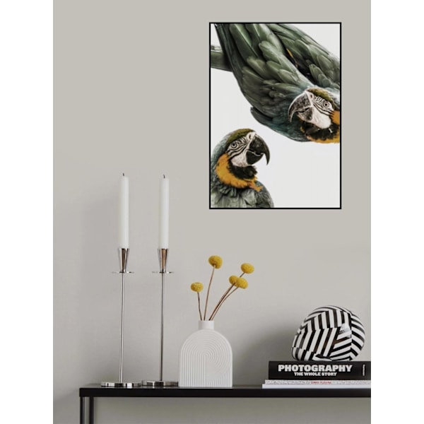 Amazonia MultiColor 70x100 cm