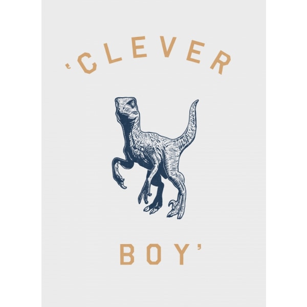 Clever Boy MultiColor 21x30 cm