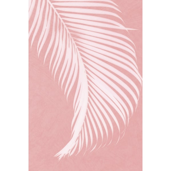 Palm Leaves On Pink Silhouette I MultiColor 21x30 cm