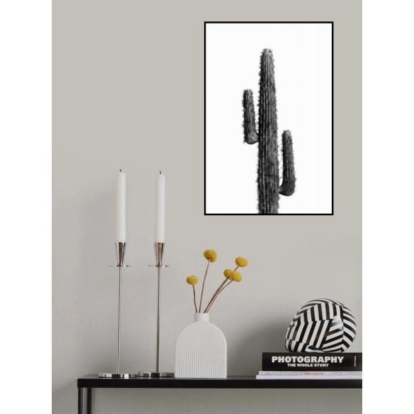 Cactus Black And White 01 MultiColor 30x40 cm