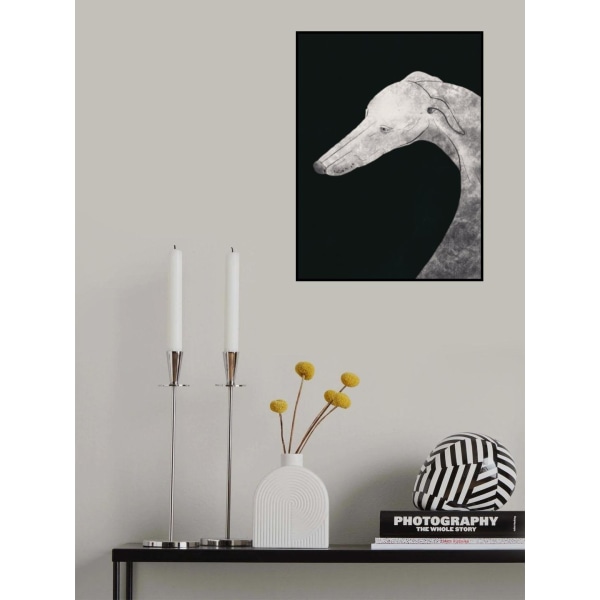 Greyhound Black And White 02 MultiColor 30x40 cm