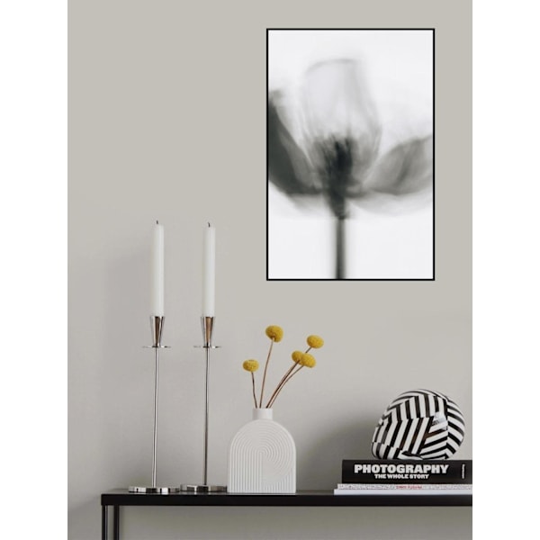 Mono Poppy MultiColor 30x40 cm