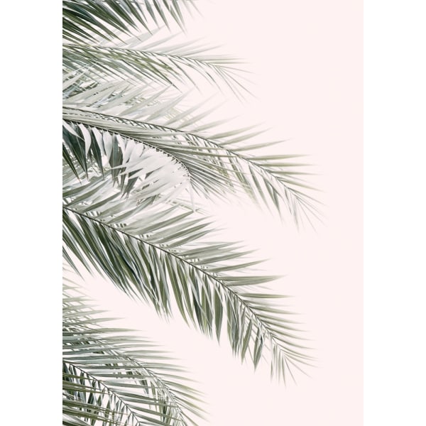 Blush Palm Leaves MultiColor 21x30 cm