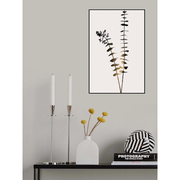 Eucalyptus Dark Gold MultiColor 30x40 cm