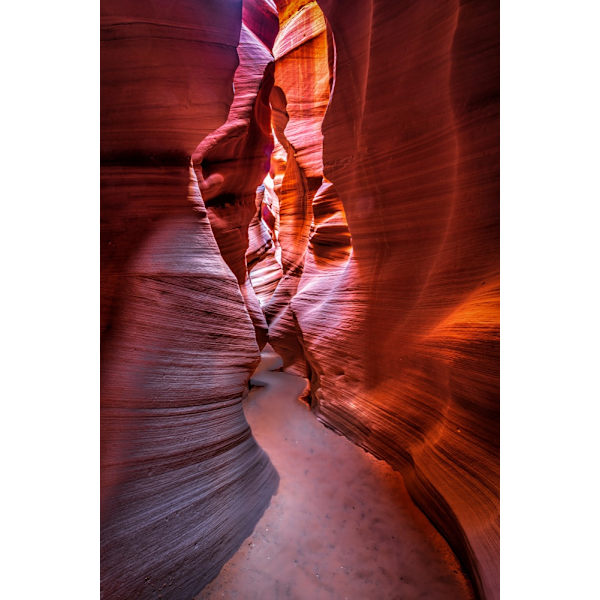 The Curves And Colors Of Nature MultiColor 70x100 cm