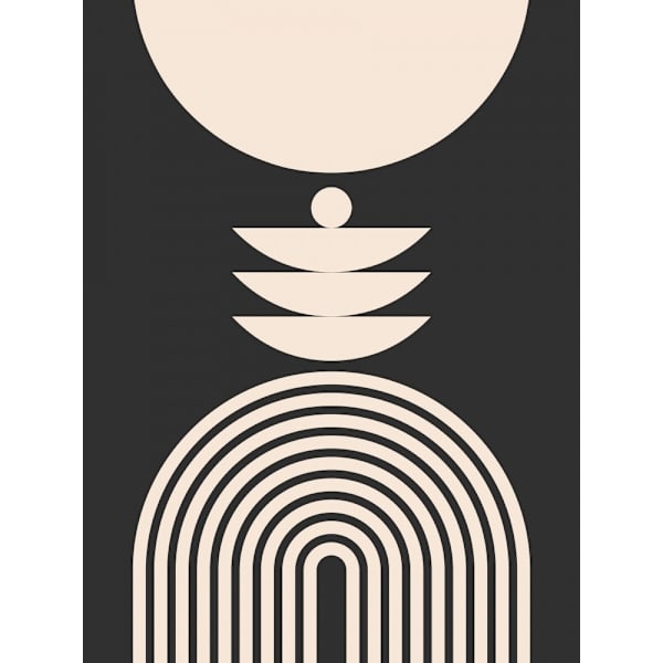 Mid Century In Monochrome MultiColor 50x70 cm