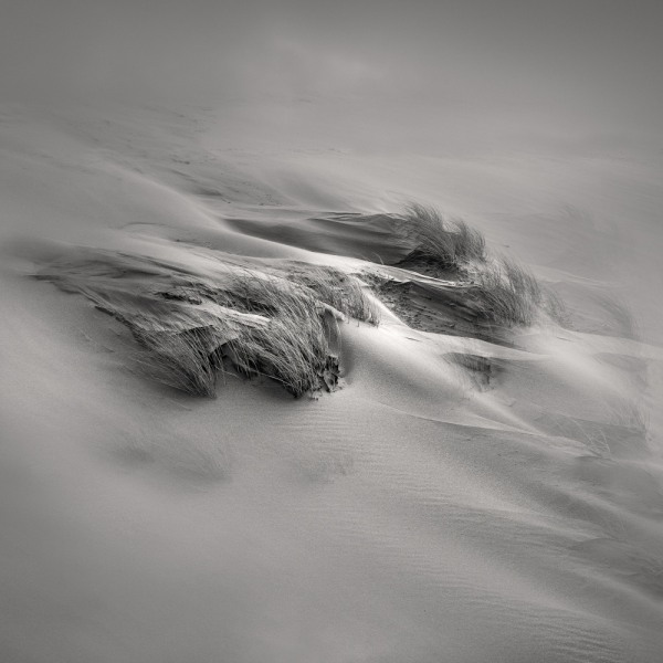 Sandwind / Vent De Sable MultiColor 70x100 cm