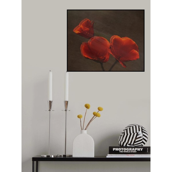 Poppys MultiColor 50x70 cm