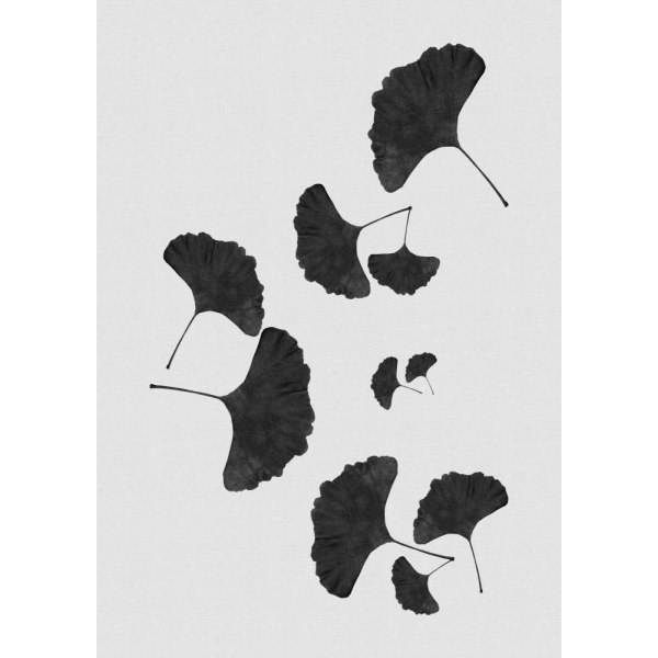 Ginkgo Leaf Black A White I MultiColor 50x70 cm