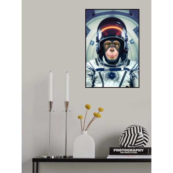 Astromonkey MultiColor 21x30 cm