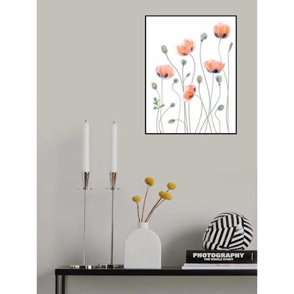 Poppies MultiColor 21x30 cm