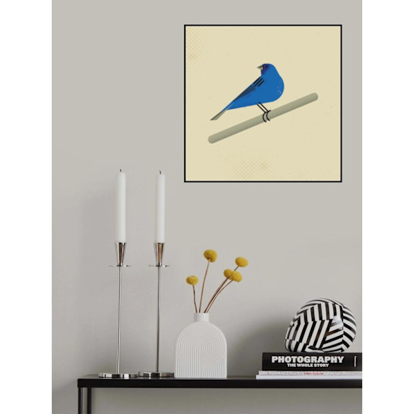 Indigo Bunting MultiColor 50x70 cm