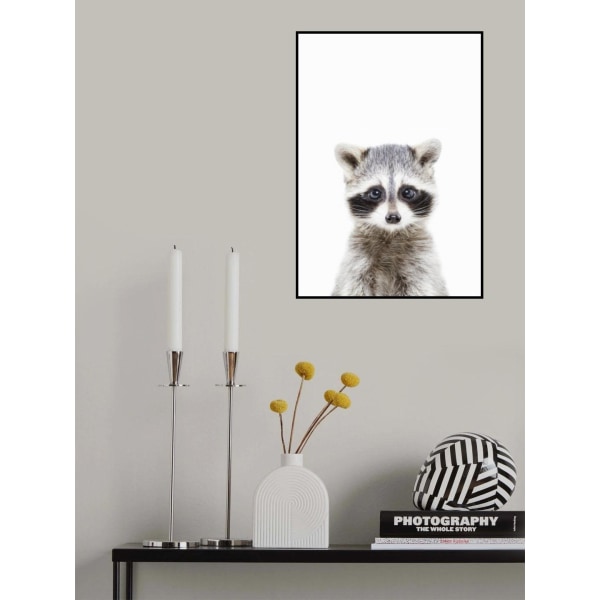 Baby Racoon MultiColor 50x70 cm