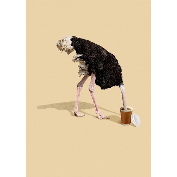 Dive In Coffee MultiColor 70x100 cm